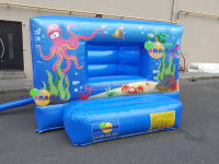 Inflatable Ball Pool Ocean 3x4x2m