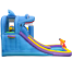 Inflatable Shark Aquapark