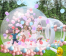 Transparent Bubble Tent Bubble Tent 3Mt