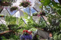 Geodesic Dome Greenhouse Tent 8Mt