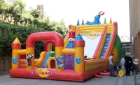 Giant Dolphin Inflatable Playground 12x6x6m