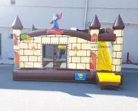 Inflatable Park Merlin Combo 5x4x3m