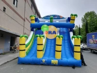 Ocean Inflatable Slide 8x5x7m