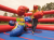 Inflatable Game Boxing Ring 5x5x2m